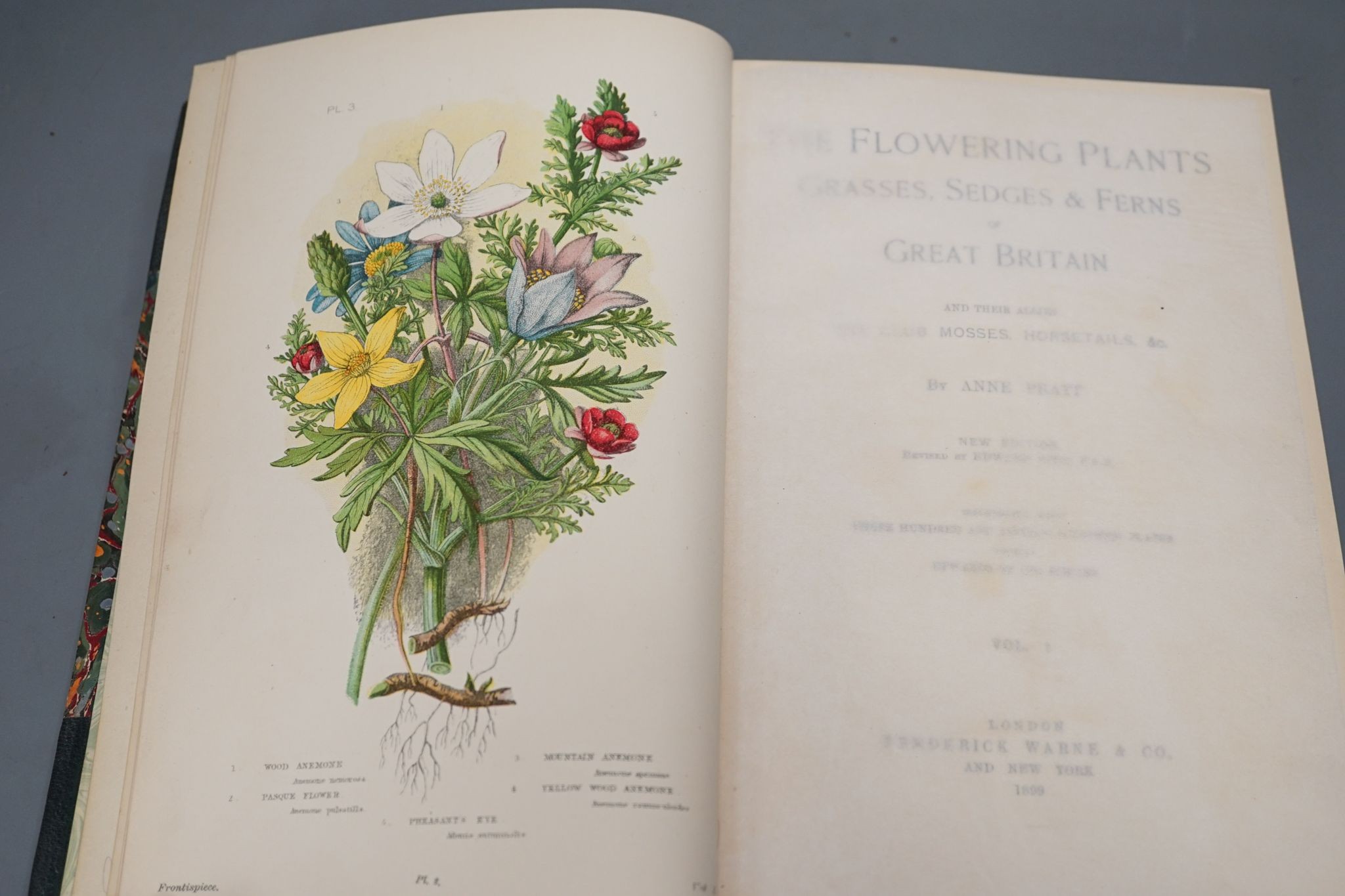 Pratt, Anne - the Flowering Plants, Grasses, Sedges and Ferns of Great Britain.....new edition revised by Edward Step, 4 vols many colour printed plates, contemp. half morocco and marbled boards, gilt panelled spines, gi